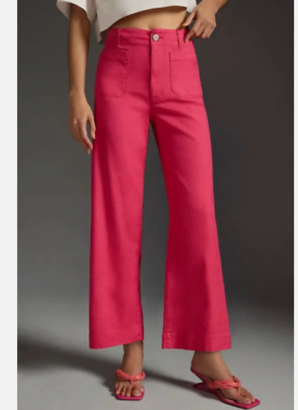 Maeve Anthropologie Hot Pink Collette Wide Leg Size 31 Flat Front High Rise